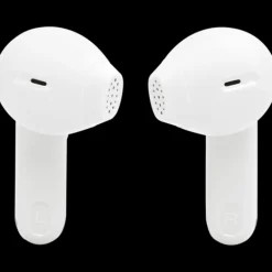JBL Tune Flex 2