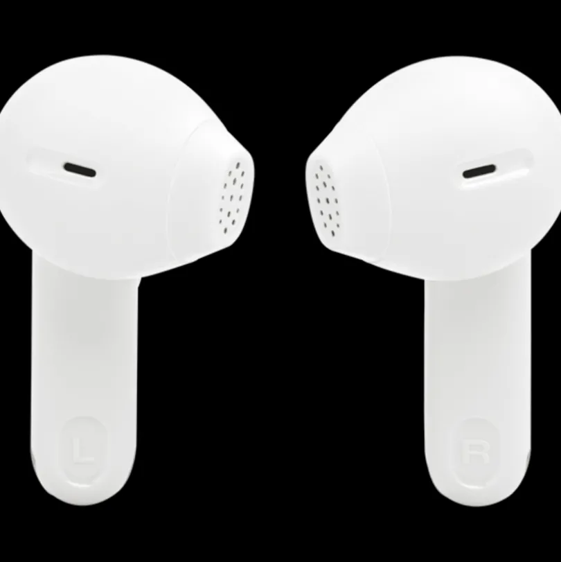 JBL Tune Flex 2