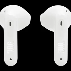 JBL Tune Flex 2