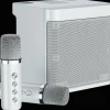 YS-203 KTV Karaoke Set met Draadloze Microfoons