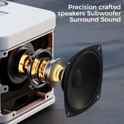 YS-203 KTV Karaoke Set met Draadloze Microfoons
