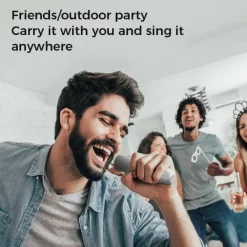 YS-203 KTV Karaoke Set met Draadloze Microfoons